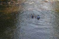IMG_6739.jpg